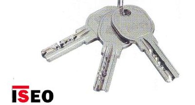 Stimulans Duplicatie Articulatie ISEO R6 sleutels te bestellen op sleutelcode - SKG veiligheidssloten,  cilinders, beslag, raamsluitingen bij Slotenshop.nl de inbraakpreventie  winkel